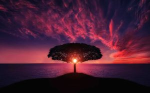 sunrise