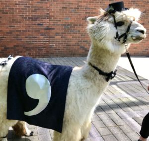 comma llama