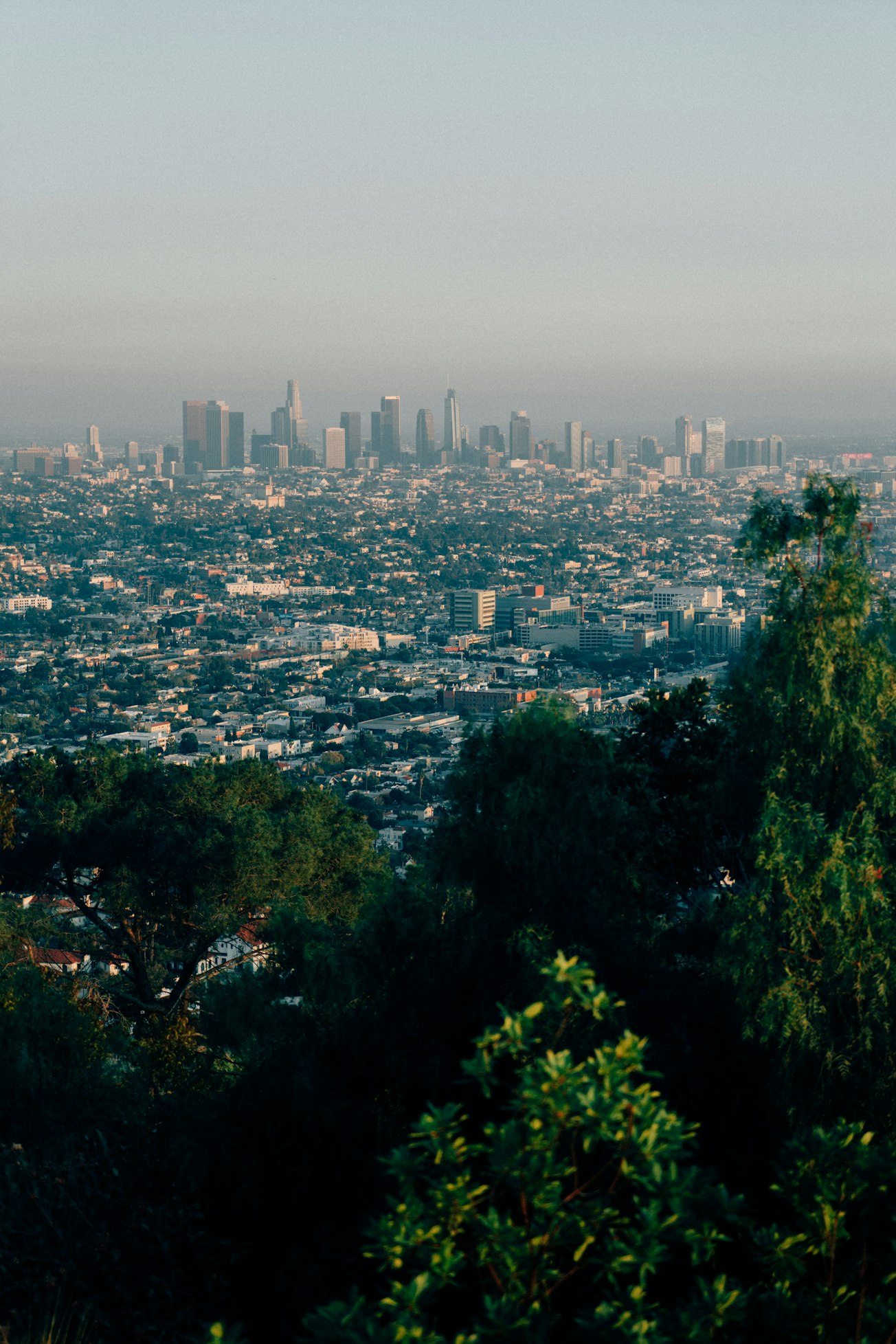 Los Angeles Skyline