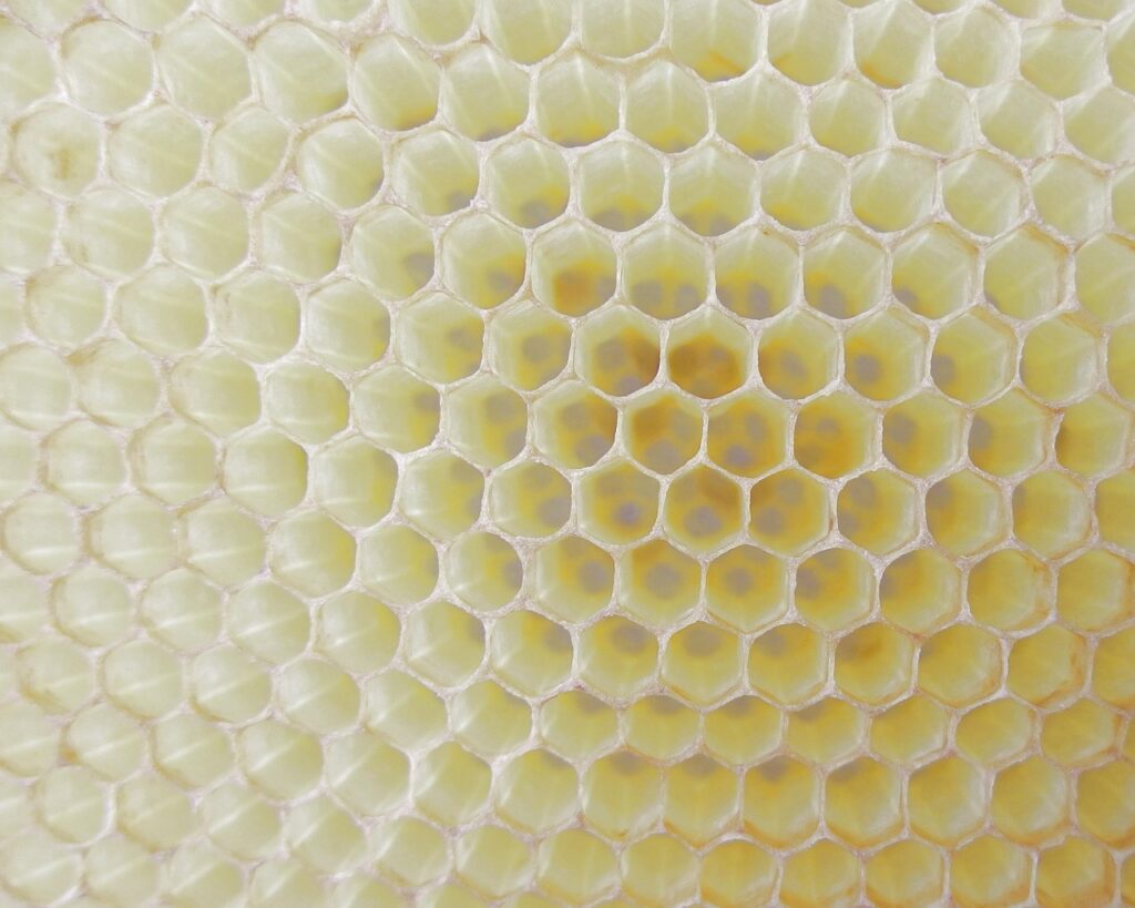 Honeycomb