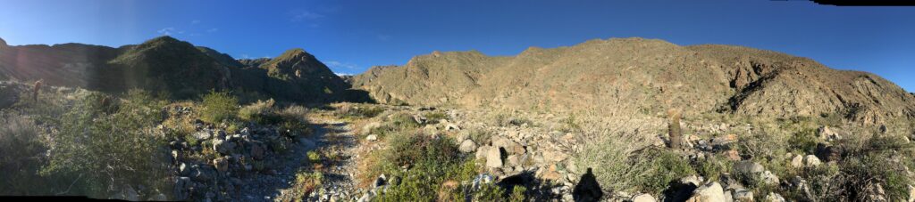 A narrow rocky trail winds through low desert shrubs toward sunlit, rugged hills under a clear blue sky.