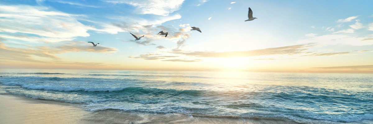 Ocean beach at sunrise with seagulls in flight over gentle waves and sandy shore